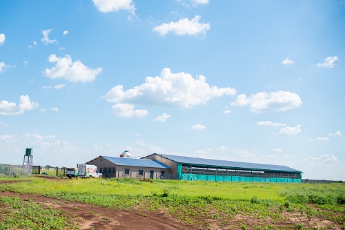 Fidelity Farm Gallery