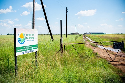 Fidelity Farm Gallery