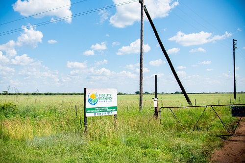 Fidelity Farm Gallery