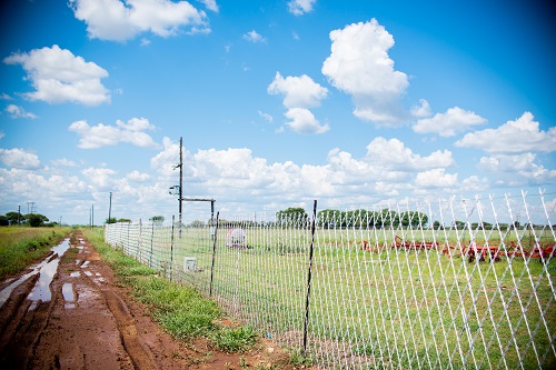 Fidelity Farm Gallery