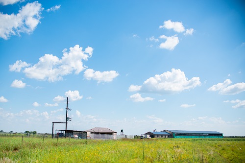 Fidelity Farm Picture